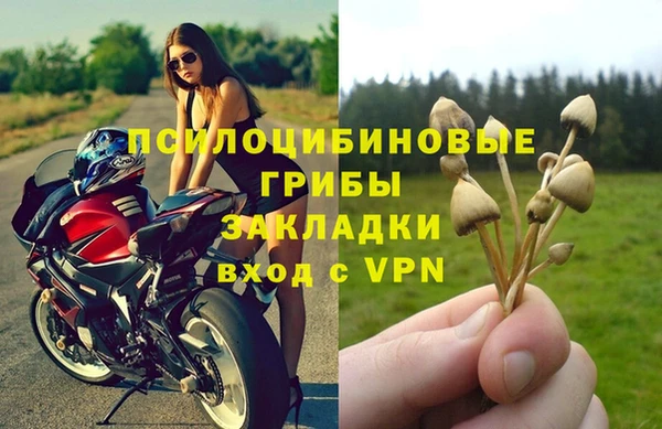 дурь Струнино